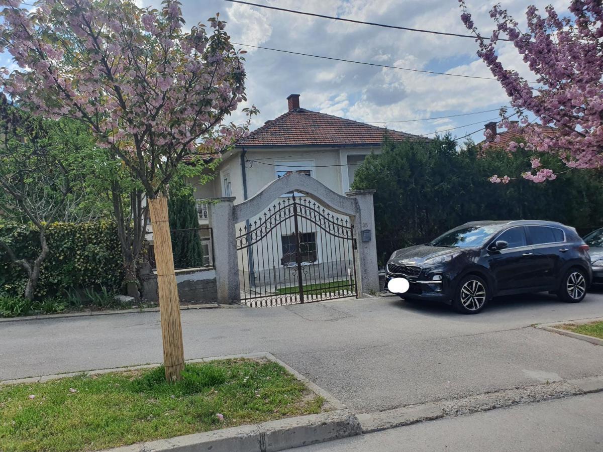 Guest House Jasmin Niska Banja Dış mekan fotoğraf