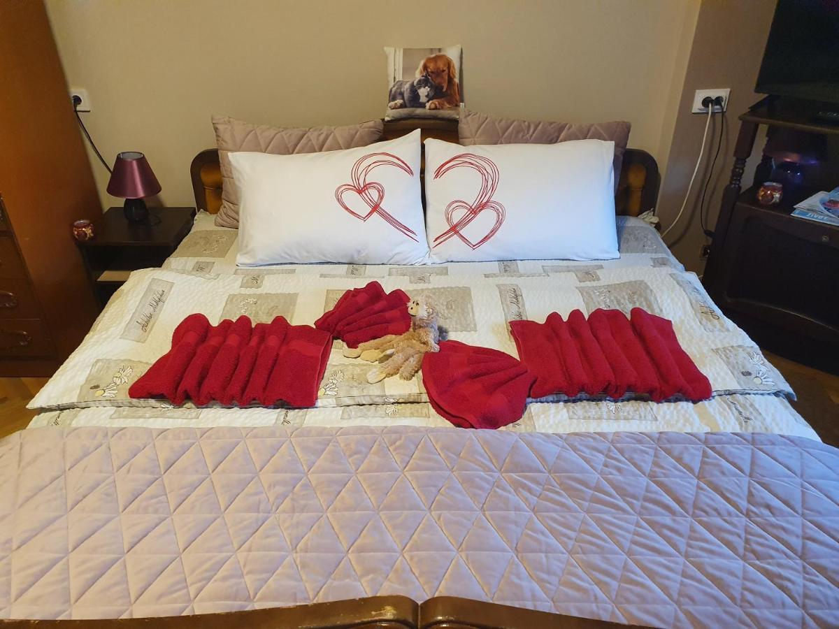 Guest House Jasmin Niska Banja Dış mekan fotoğraf